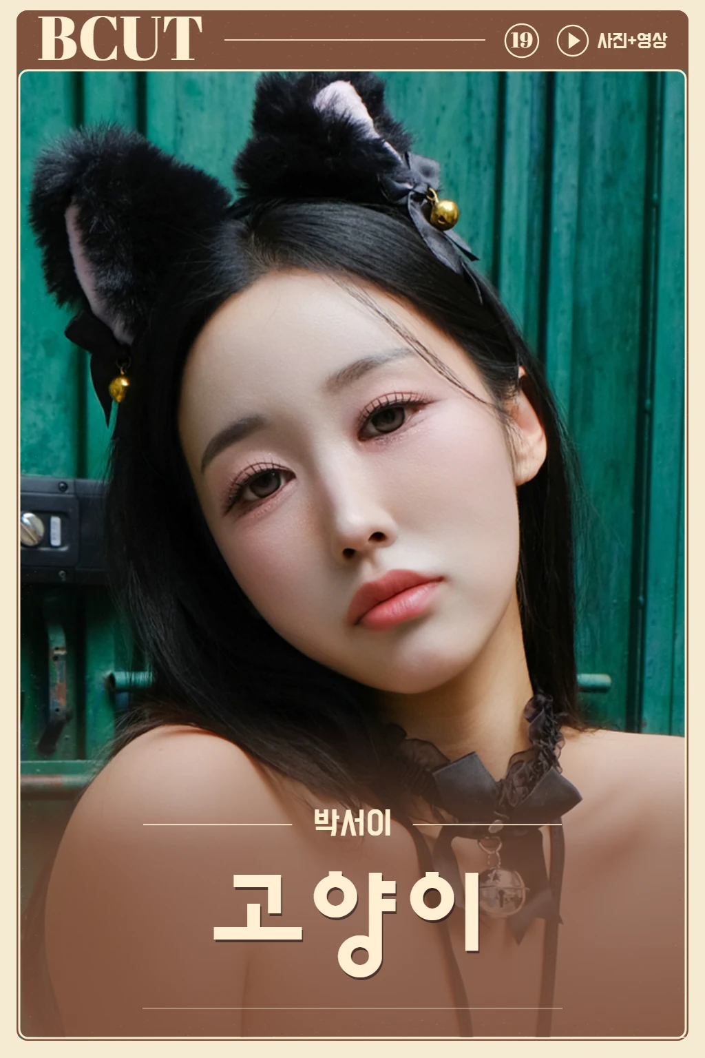 ❤️ 고양이 by PAWSOME (PHOTO+VIDEO)
